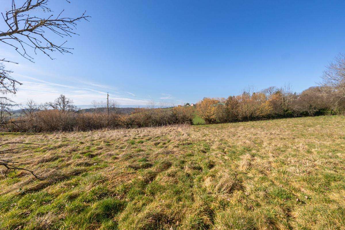 Terrain à SAINTE-AGATHE-EN-DONZY