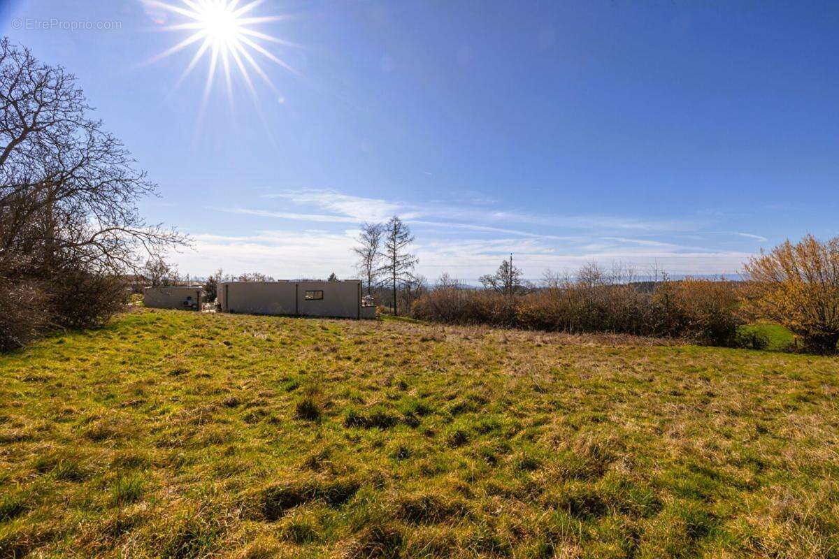 Terrain à SAINTE-AGATHE-EN-DONZY