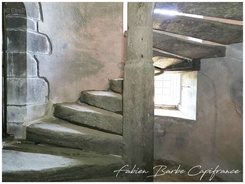 Maison à NEANT-SUR-YVEL