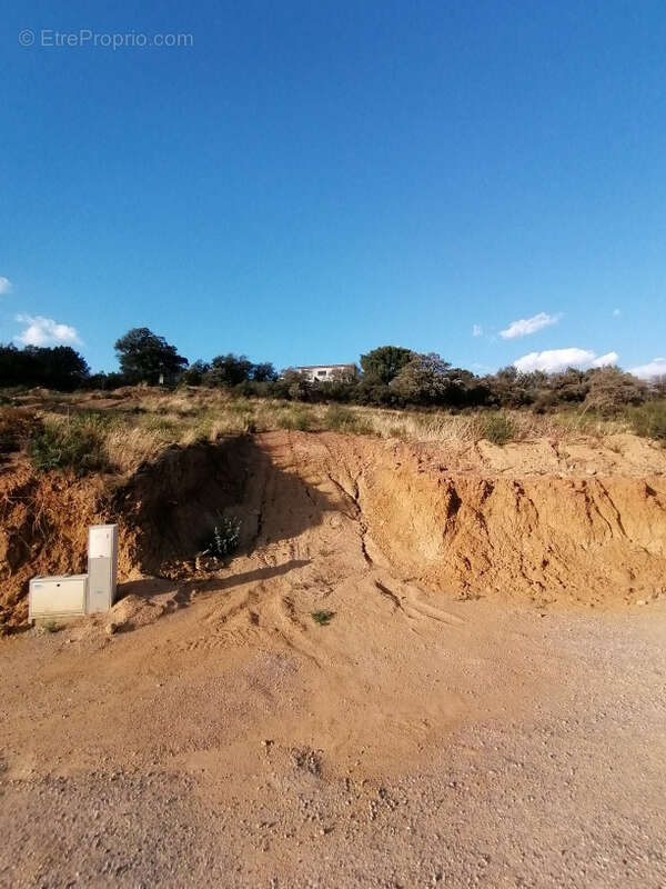 Terrain à SAINT-ANDRE-DE-ROQUELONGUE