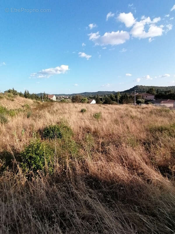 Terrain à SAINT-ANDRE-DE-ROQUELONGUE