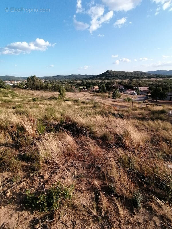 Terrain à SAINT-ANDRE-DE-ROQUELONGUE