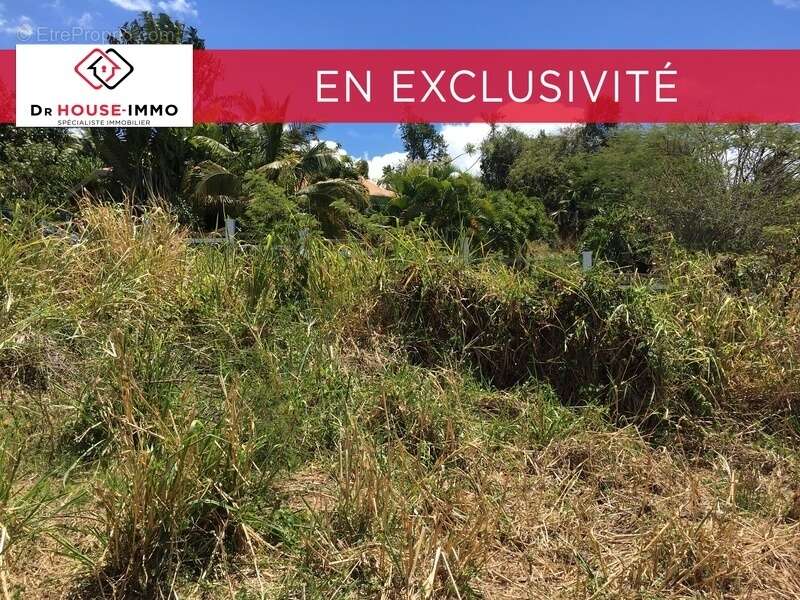 Terrain à VIEUX-HABITANTS