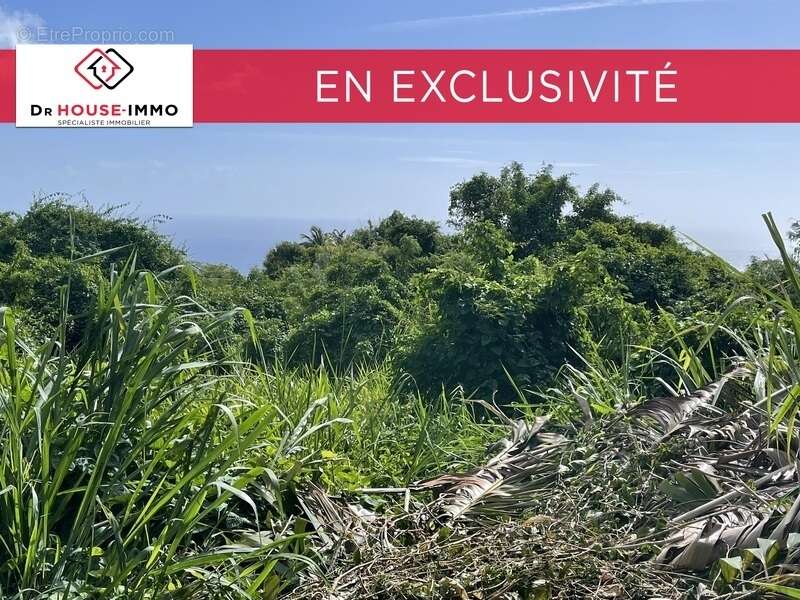 Terrain à VIEUX-HABITANTS