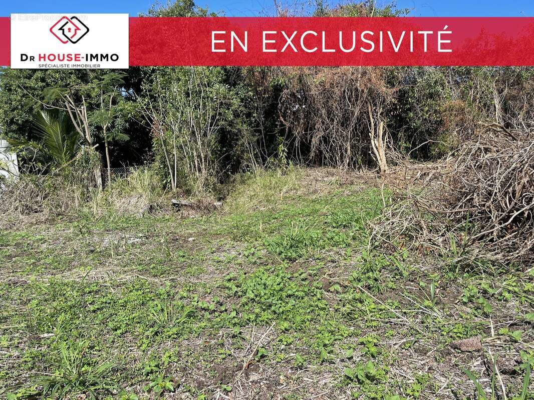 Terrain à VIEUX-HABITANTS