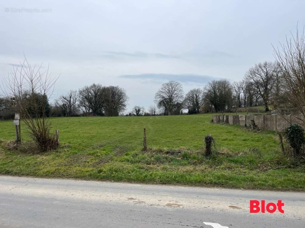 Terrain à LE PERTRE