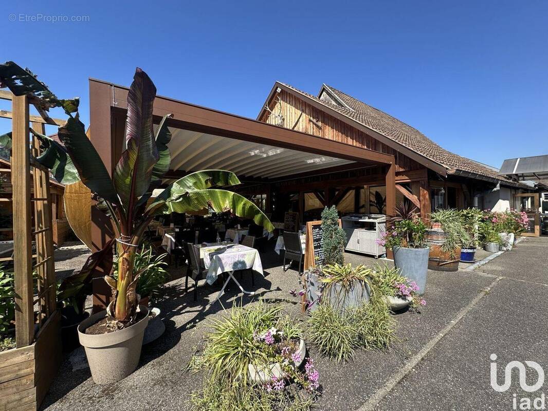 Photo 1 - Commerce à FELLERING