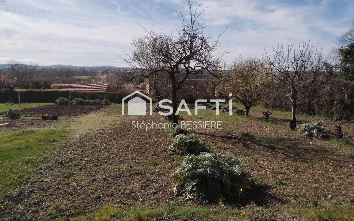 Photo 1 - Terrain à CASTELNAU-DE-LEVIS