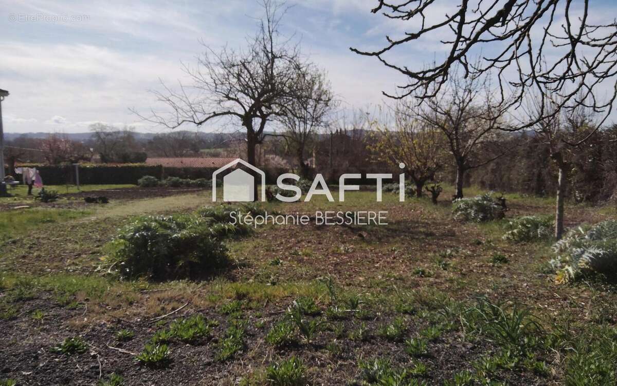 Photo 2 - Terrain à CASTELNAU-DE-LEVIS