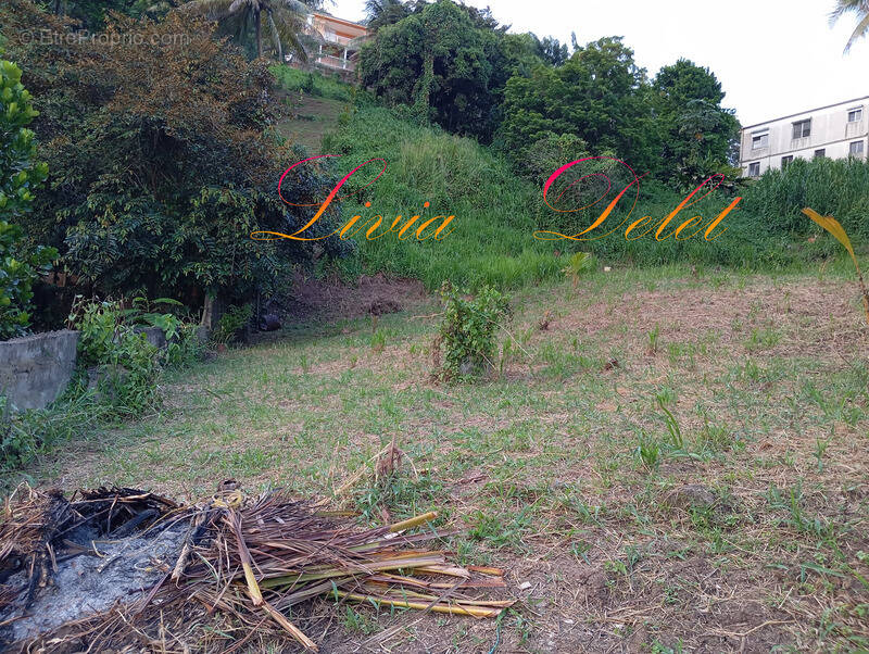 Terrain à LE ROBERT