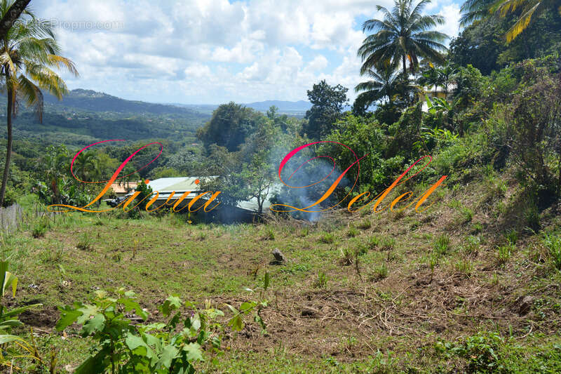Terrain à LE ROBERT