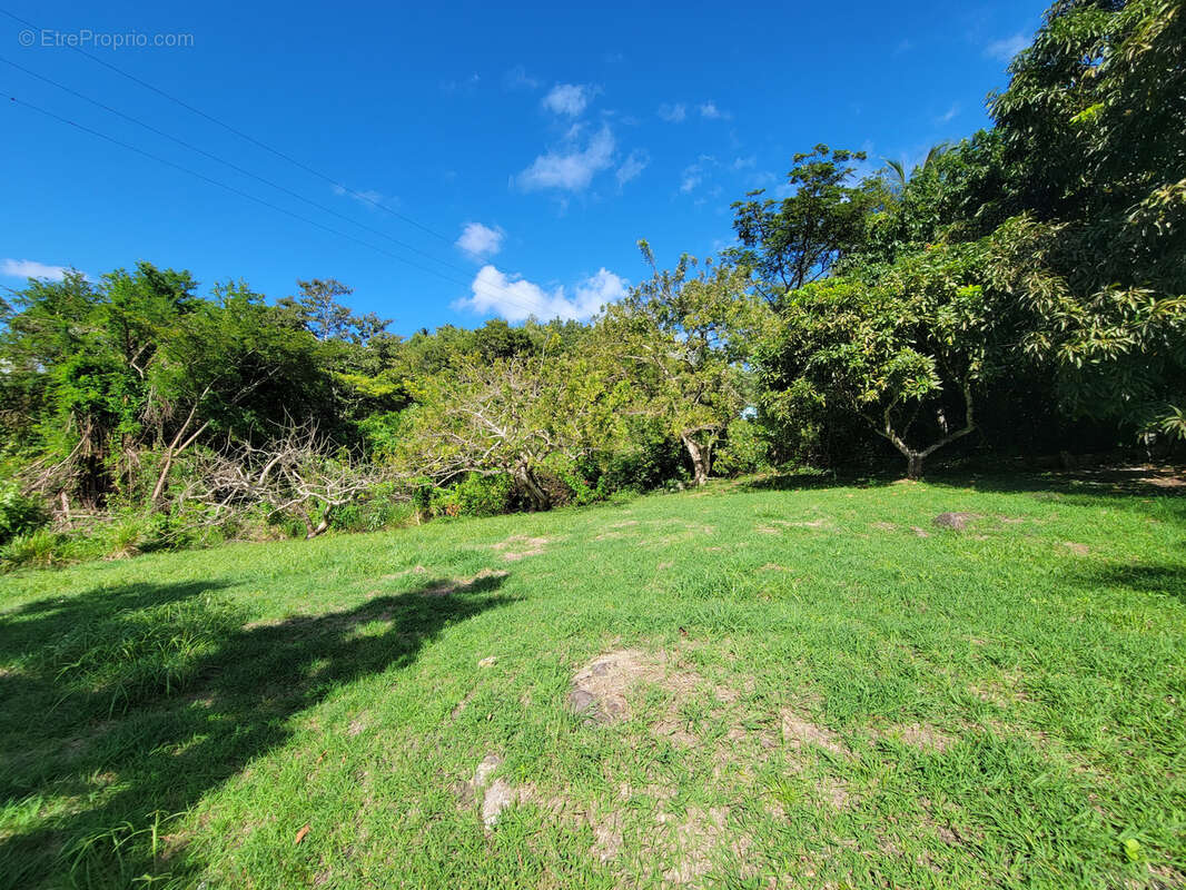 Terrain à LES ANSES-D&#039;ARLET