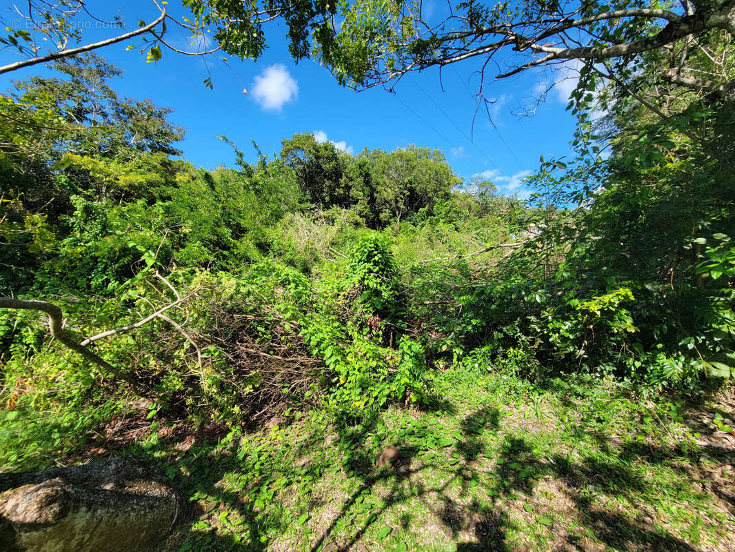 Terrain à LES ANSES-D&#039;ARLET