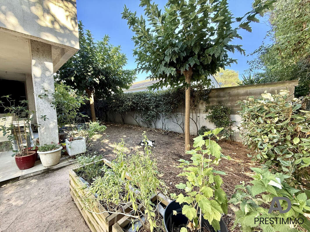 Appartement à LUCCIANA