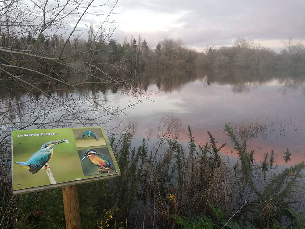 Commerce à MISSILLAC