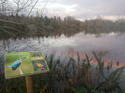 Commerce à MISSILLAC