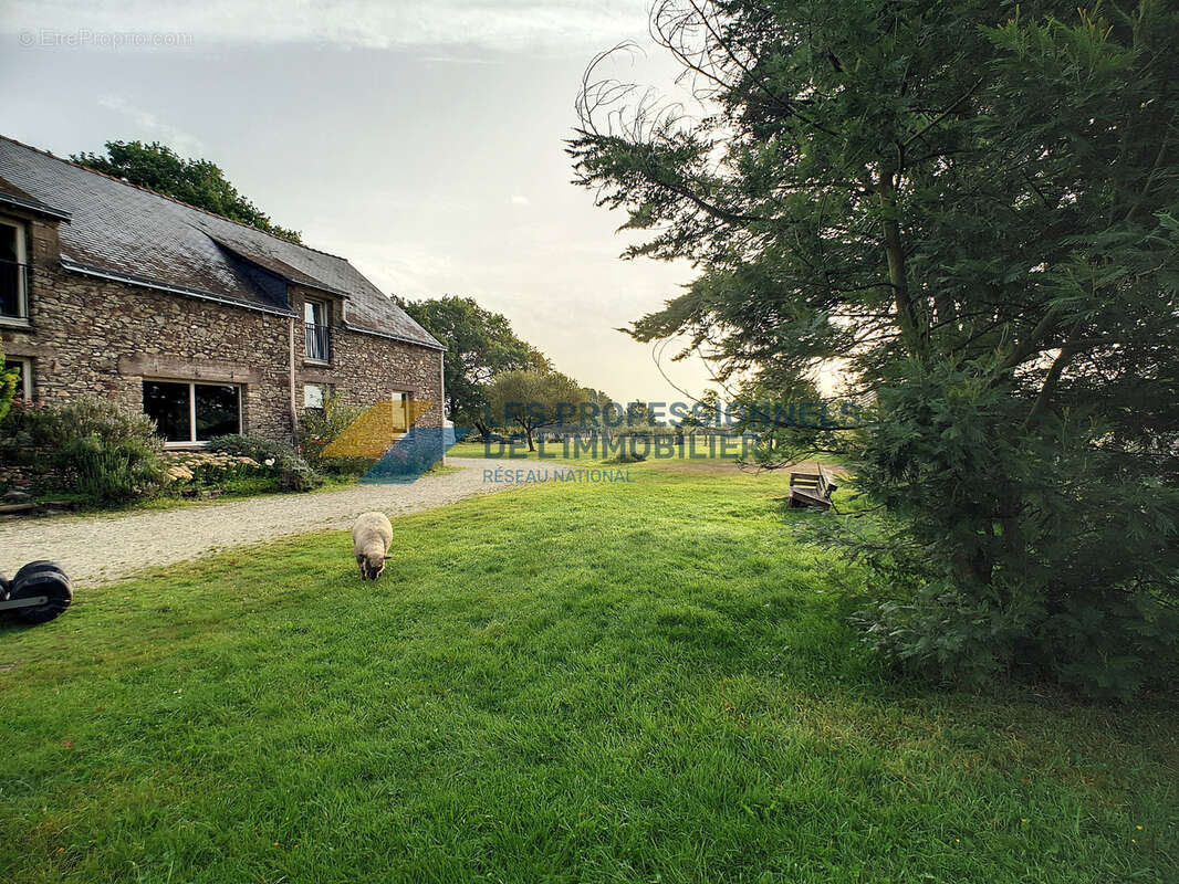 Commerce à MISSILLAC