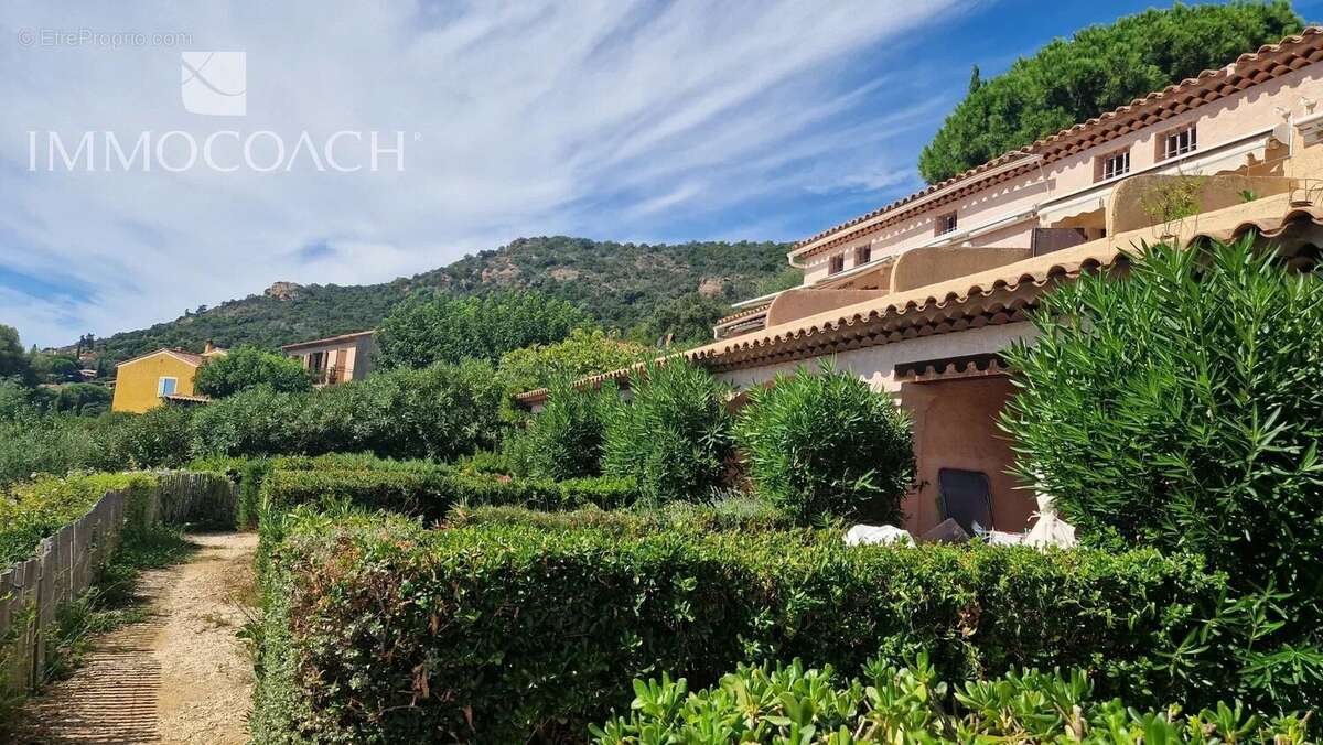 Maison à LE LAVANDOU