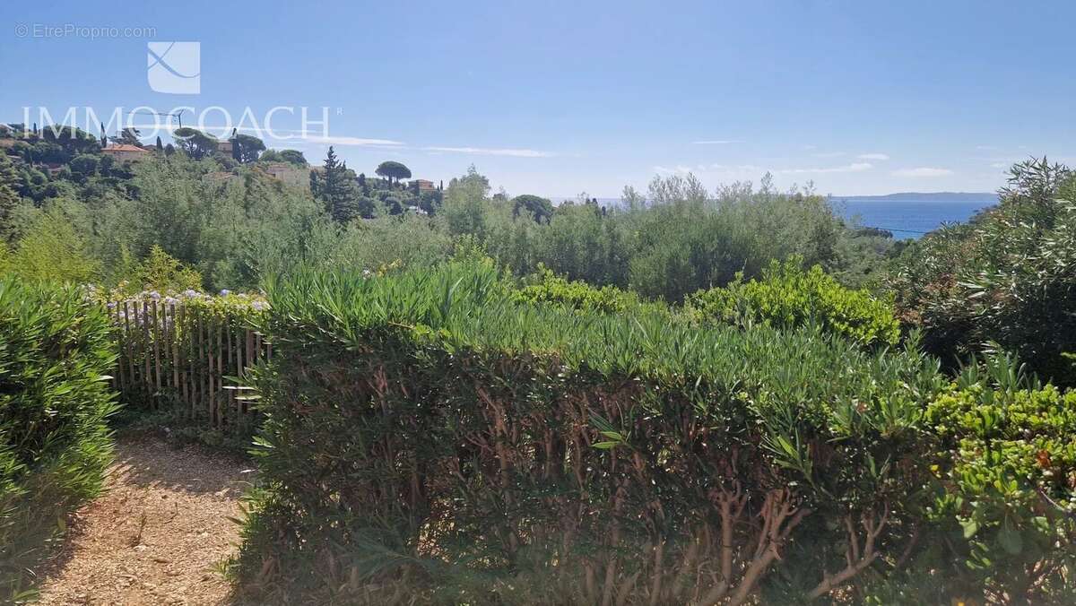 Maison à LE LAVANDOU