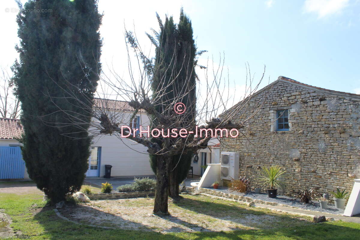 Maison à CHAILLE-LES-MARAIS