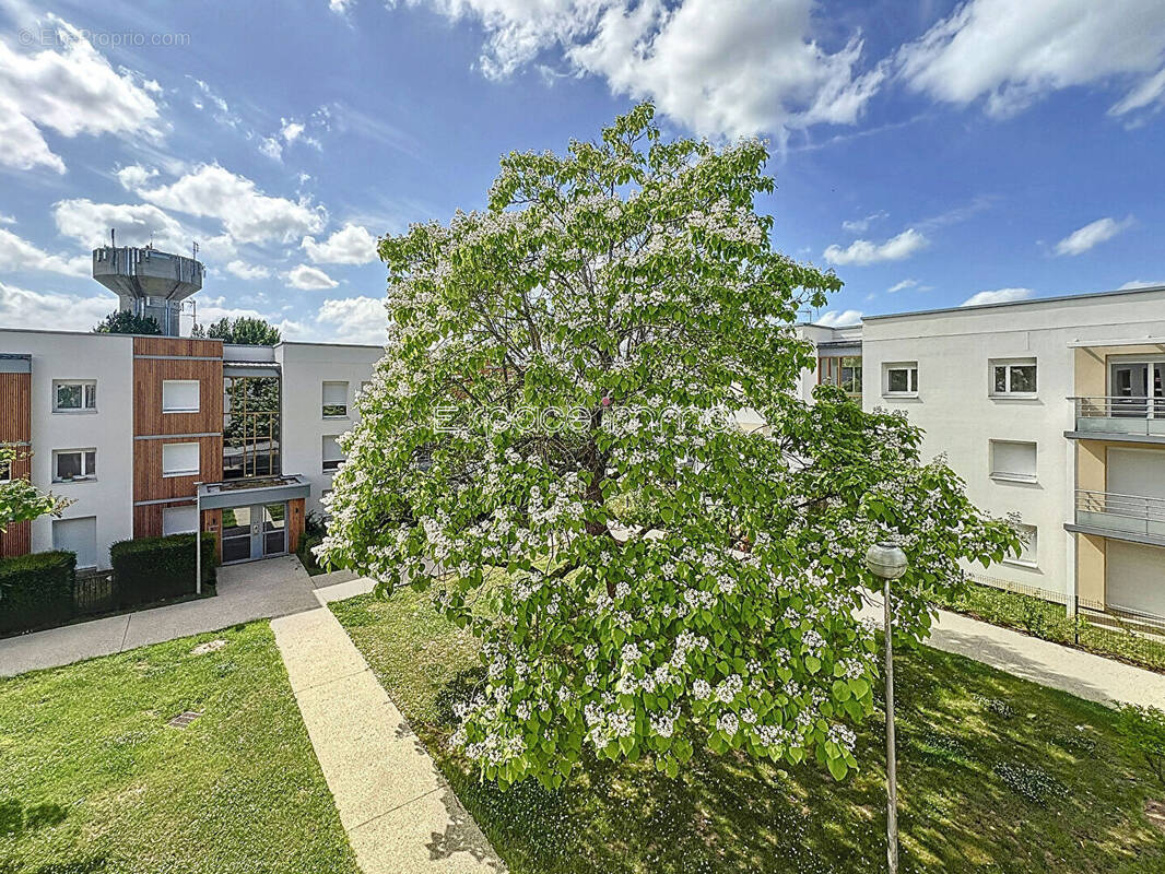 Appartement à MONT-SAINT-AIGNAN