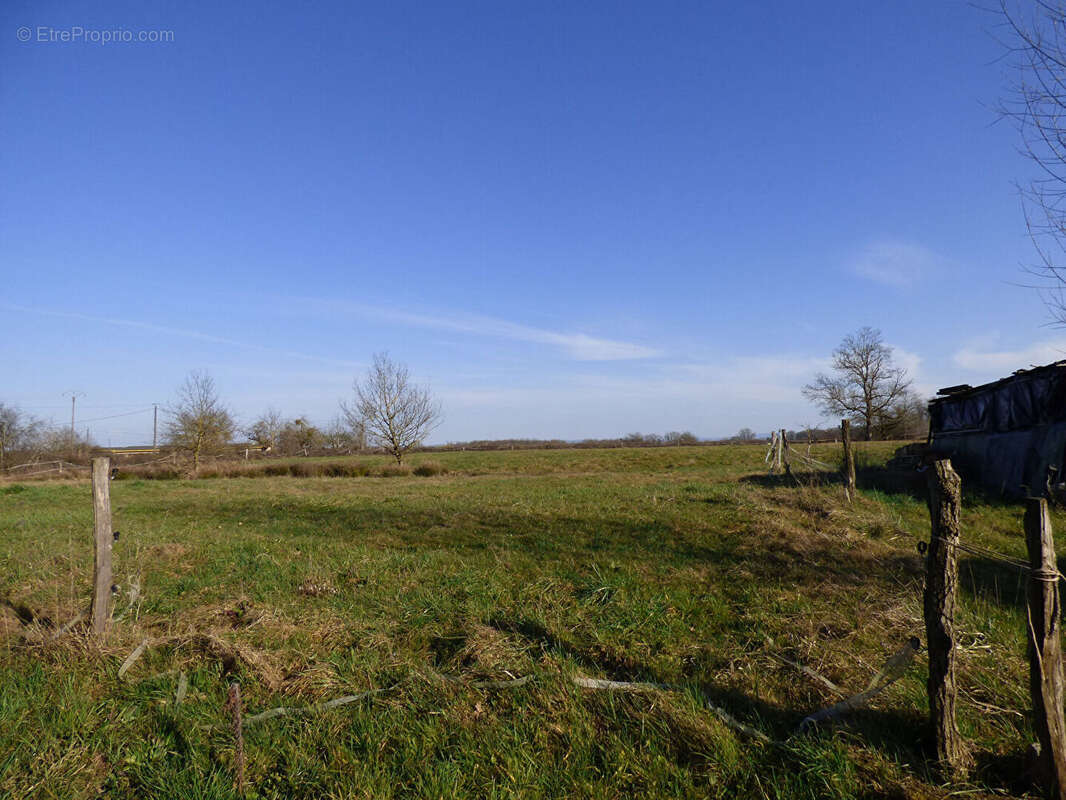 Maison à SAINT-TRIVIER-DE-COURTES
