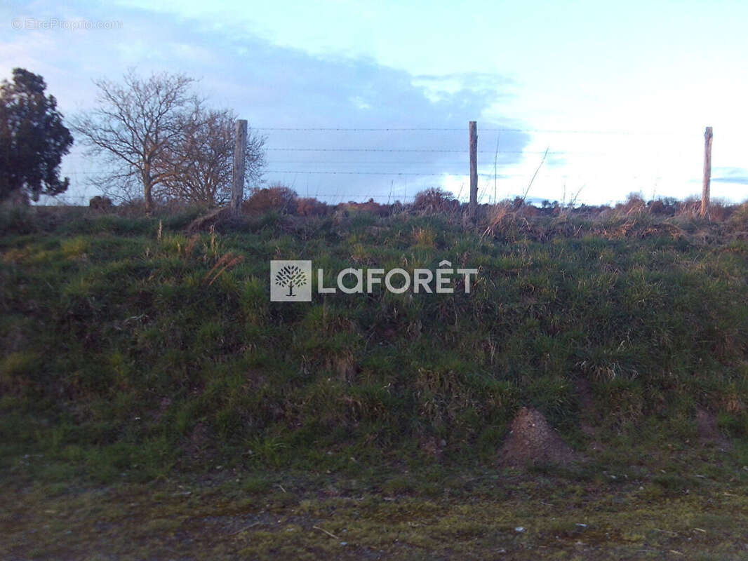 Terrain à CAMPAGNE-LES-HESDIN