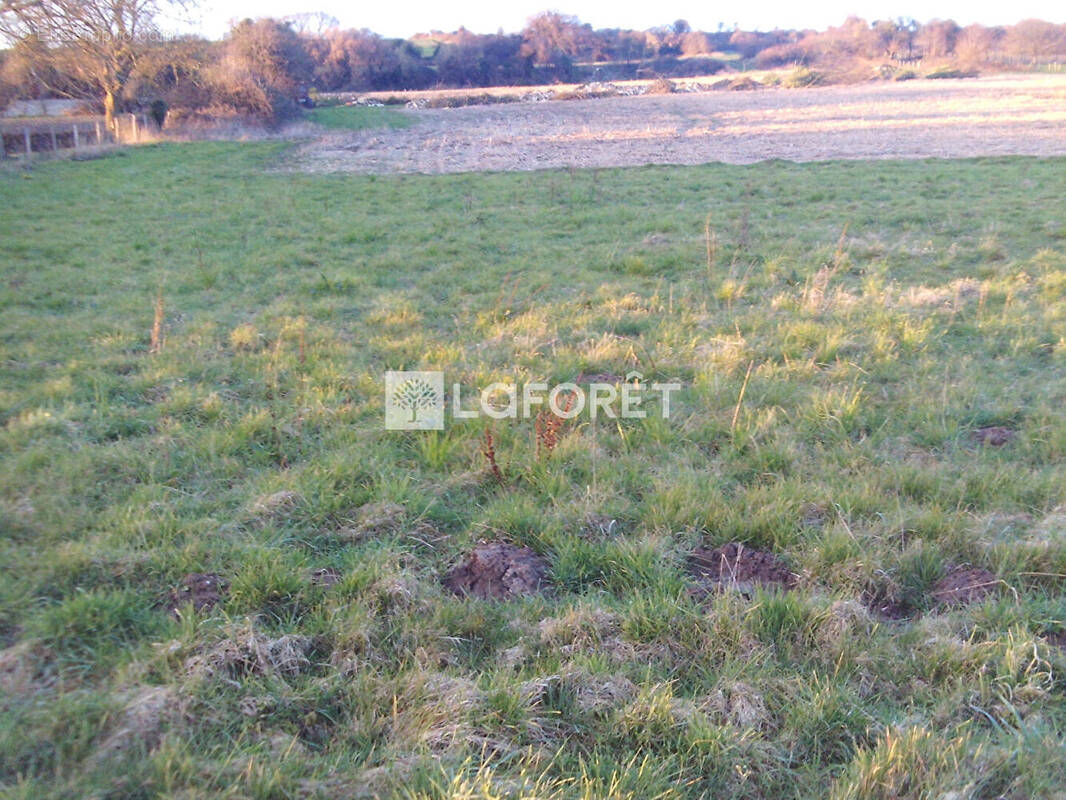 Terrain à CAMPAGNE-LES-HESDIN