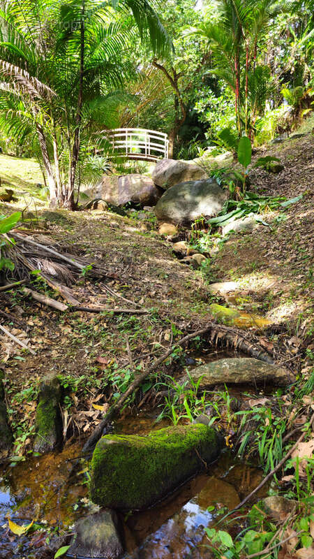 Maison à REMIRE-MONTJOLY