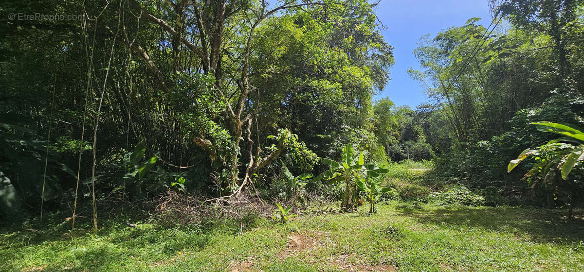 Maison à REMIRE-MONTJOLY
