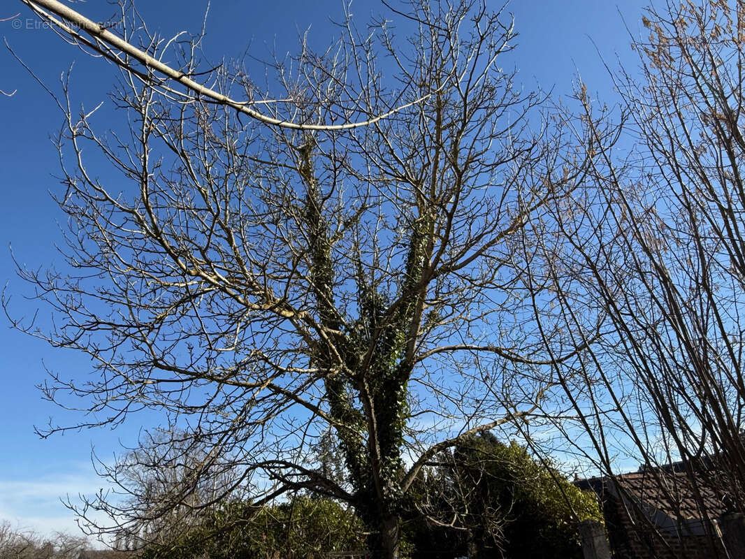 Maison à MARCILLAT-EN-COMBRAILLE