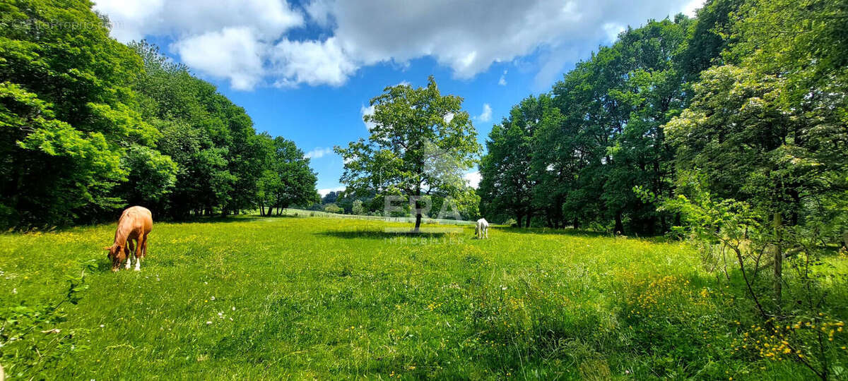 Maison à LACAPELLE-MARIVAL