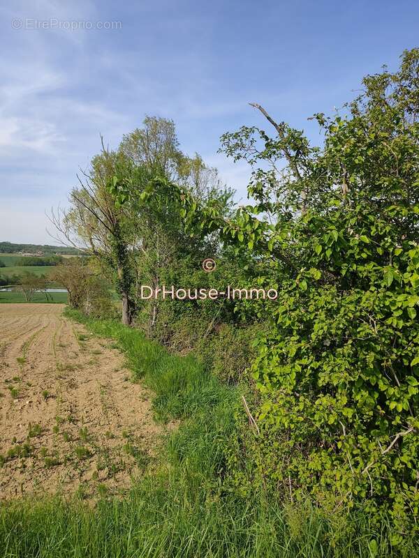 Terrain à LEVIGNAC-DE-GUYENNE