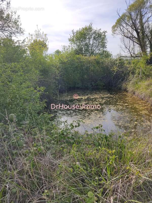 Terrain à LEVIGNAC-DE-GUYENNE