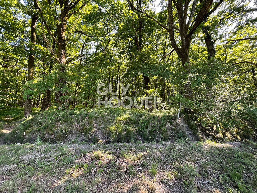 Terrain à PRESLY