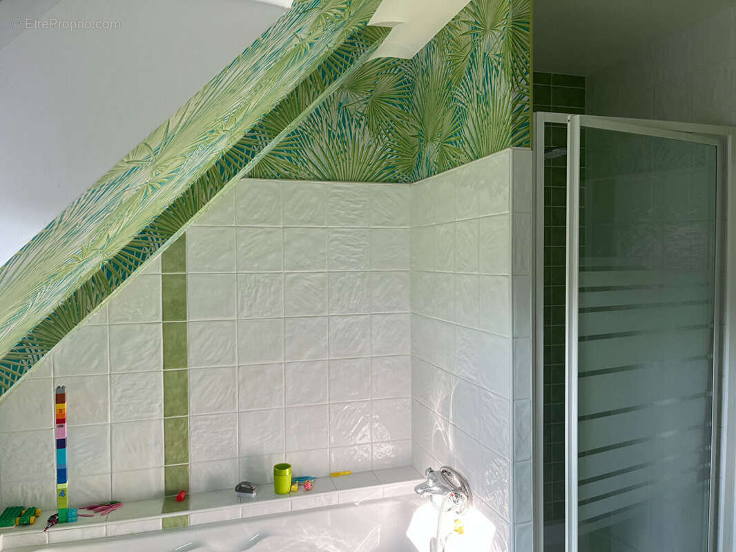 Maison à SAINT-ALLOUESTRE