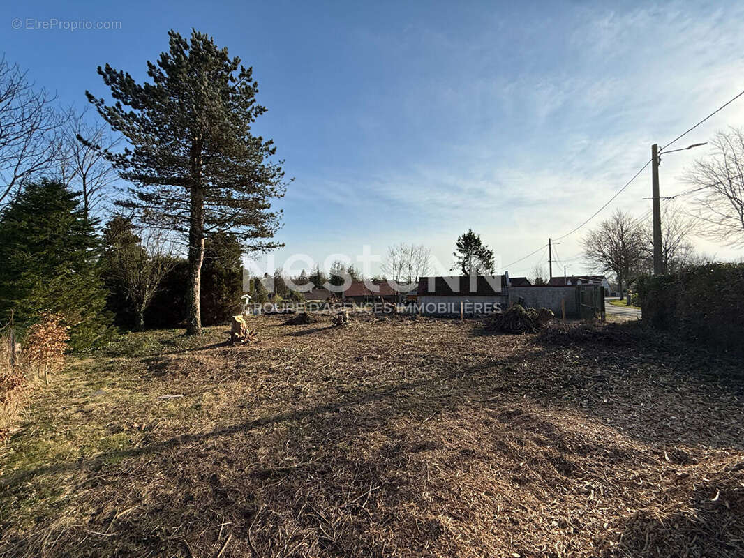 Terrain à RANG-DU-FLIERS