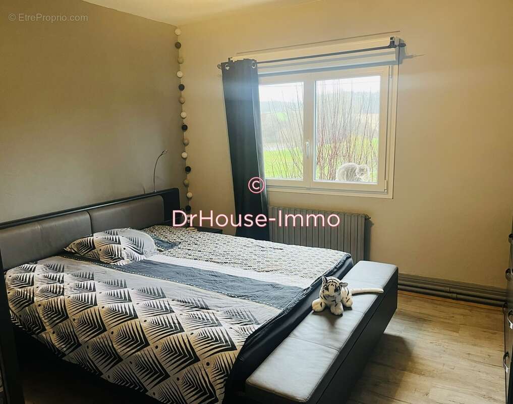 Maison à THENEUILLE