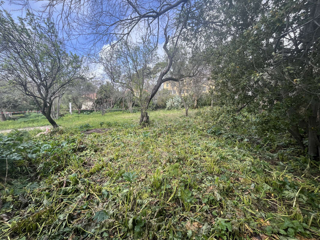 Terrain à TOULON