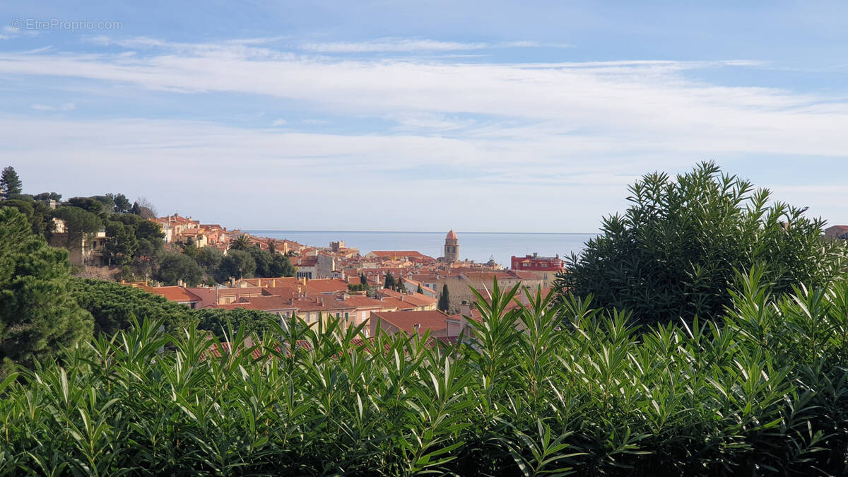 Appartement à COLLIOURE
