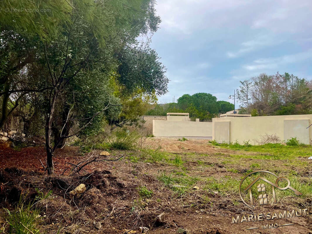 Terrain à BALARUC-LES-BAINS