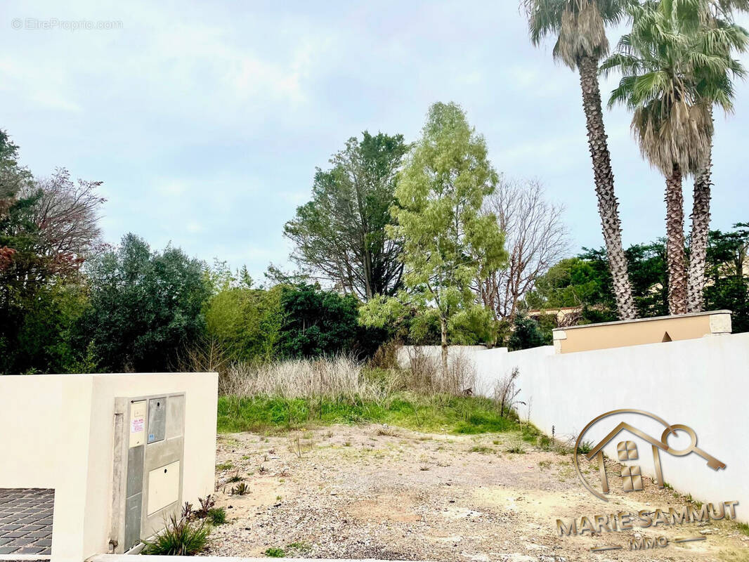 Terrain à BALARUC-LES-BAINS