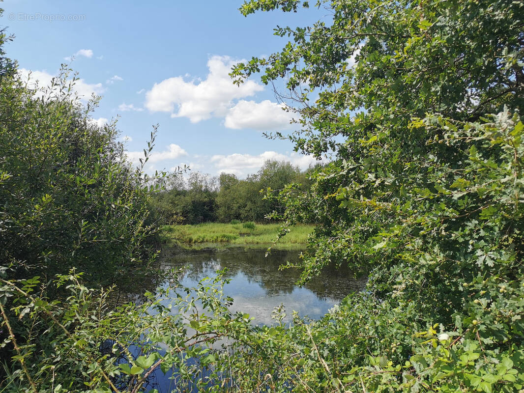 Terrain à ROMORANTIN-LANTHENAY