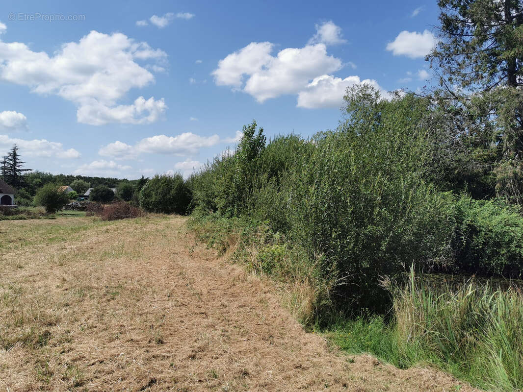 Terrain à ROMORANTIN-LANTHENAY