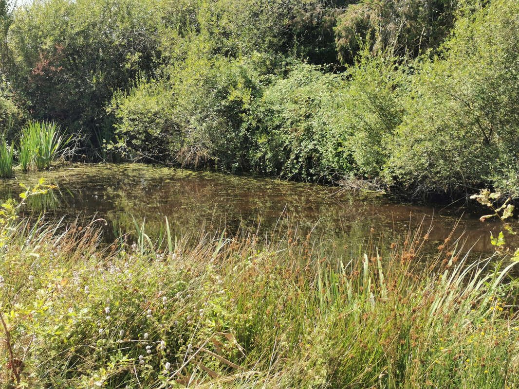 Terrain à ROMORANTIN-LANTHENAY