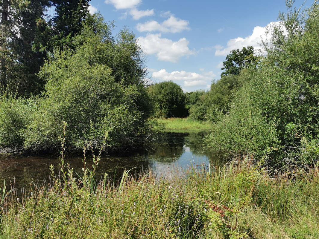 Terrain à ROMORANTIN-LANTHENAY