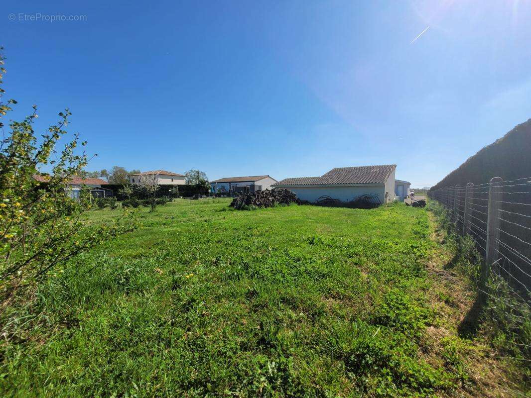 Terrain à FRONTON