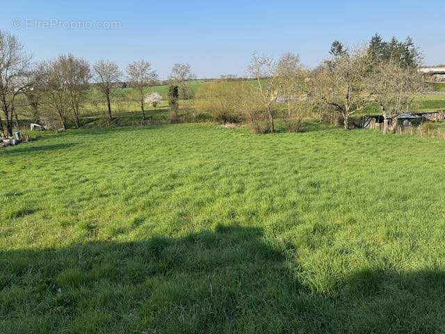 Maison à SAINTE-HERMINE