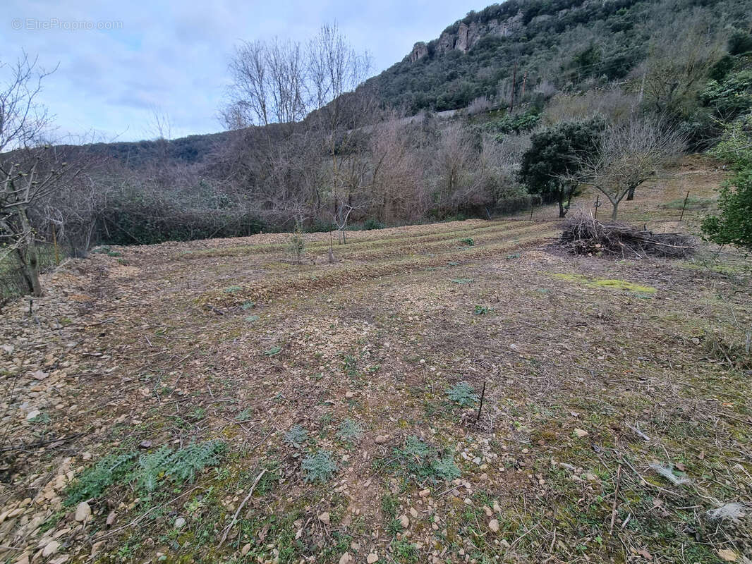 Maison à LA TOUR-SUR-ORB