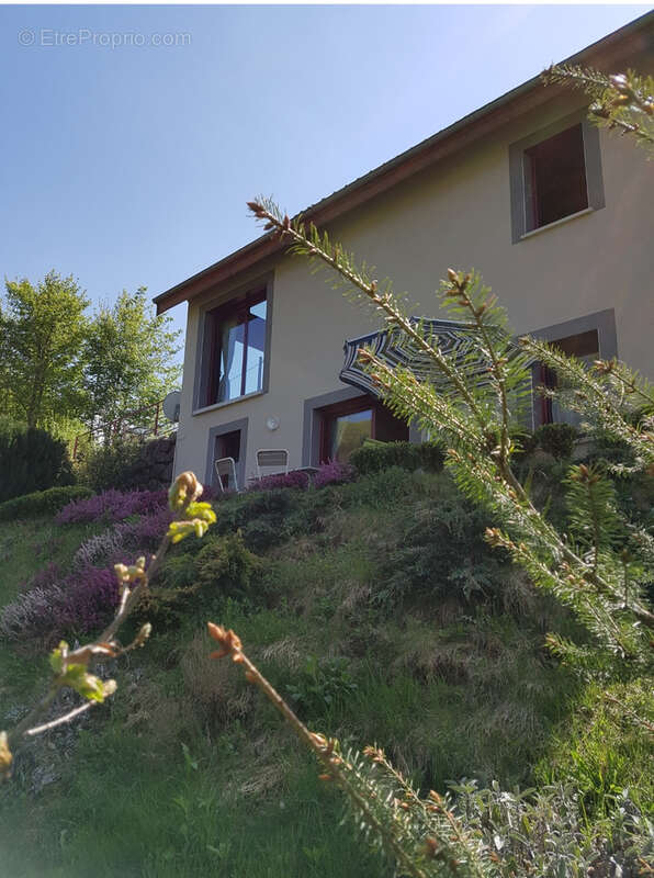 Appartement à MONT-DORE